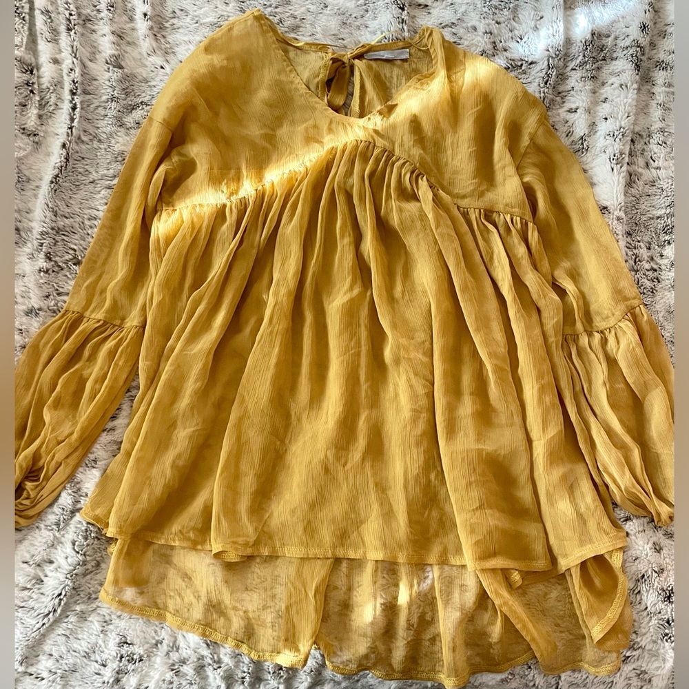Sheer Puff Sleeve Blouse